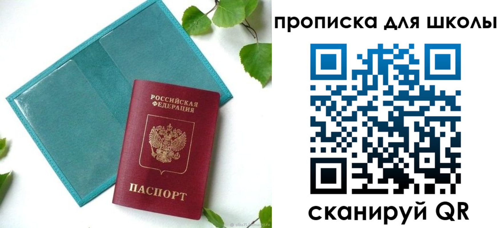 прописка в Благодарном
